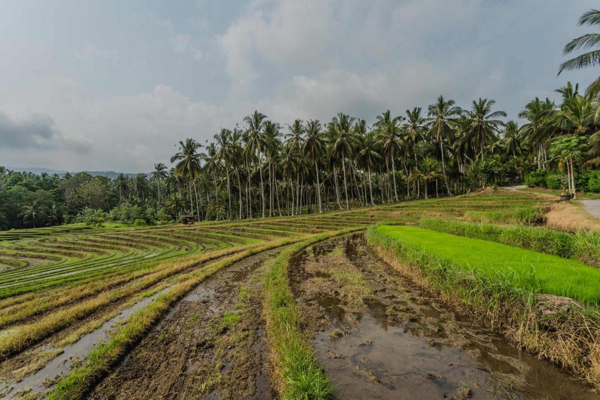 Pondok Hari Baik Balian Exterior photo